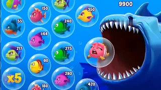 Fishdom Ads, Mini Aquarium Help the Fish | Hungry Fish New Update 122 Collection Tralier Video