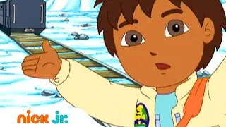 Гоу, Диего, Гоу! | Ура, поезд! 🚂| Nick Jr. Россия