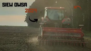 🔥Siew Owsa 2024🌾🔥 Zetor w Akcji🌾Zetor&famarol🌾