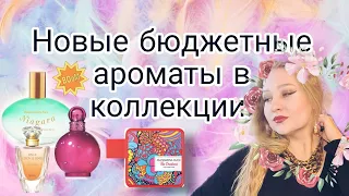 Новые бюджетные ароматы в коллекции.Что меня впечатлило, а что нет!?