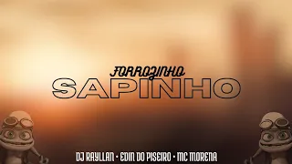 FORROZINHO DO SAPINHO - DJ RAYLLAN, EDIN DO PISEIRO E MC MORENA
