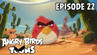 Angry Birds Toons | The Great Eggscape - S2 Ep22