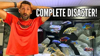 MY FISH ROOM BASEMENT FLOODED ... What Happened??