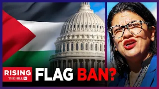 FLAG BAN? Rep Tlaib Criticized For Palestinian Flag Outside Office, GOP Rep Proposes Bill