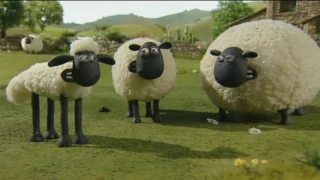 6. The Kite - Shaun the Sheep S1E6 (DVDRip XvID)