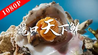 "The Taste of Lao Guang" Season 8 Episode 2 | Taste the sweetness of the sea!