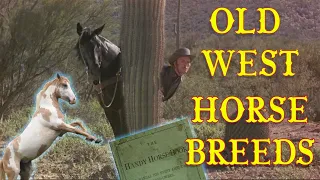 Horse Breeds in the Old West