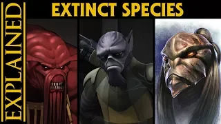 The Extinct Species of the Star Wars Galaxy