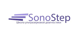 Лекция № 5 - Что такое тромбоз? Алгоритм ультразвукового исследования тромбозов верхних конечностей.