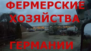 Как живут в Германии. Фермерские хозяйства на северо-западе Германии. г. Папенбург (Papenburg)