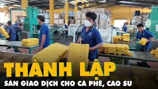 Tin tức sáng 29-5: Xây dựng thương hiệu 'Gạo Việt Nam', đưa ra thị trường gạo dinh dưỡng, gạo đồ...