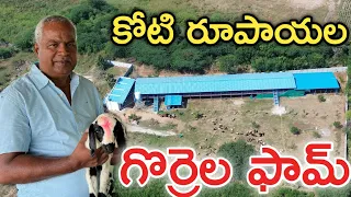 కోటి రూపాయలతో గొర్రెలు పెంచుతున్న | Sheep Farming | రైతు బడి