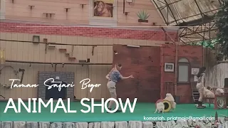 Taman Safari Bogor || Various Animal Show