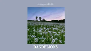 Dandelions - Ruth B. || 𝐬𝐥𝐨𝐰𝐞𝐝 + 𝐦𝐮𝐟𝐟𝐥𝐞𝐝 𝐯𝐞𝐫. ✨