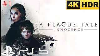 A Plague Tale: Innocence 플래이그 테일 이노센스 PS5 4K HDR #1