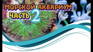 МОРСКОЙ АКВАРИУМ СВОИМИ РУКАМИ ЧАСТЬ 2