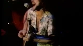 Fleetwood Mac/ Lindsey Buckingham ~  Never Going Back Again ~ Japan Live 1977