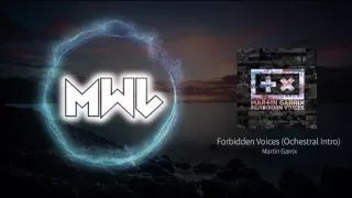 Martin Garrix - Forbidden Voices (Ochestral Intro)