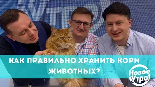 Как правильно хранить корм животных?