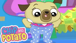 Big Potato Morning | Chip & Potato | Cartoons for Kids | WildBrain Zoo