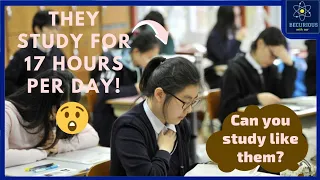 They study for 17 hours a day! || Korean Education System