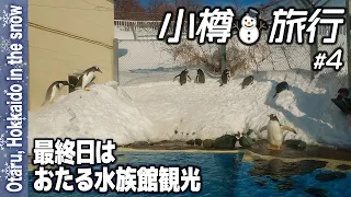 雪の小樽旅行’22 #4 おたる水族館のイルカショーと自由気ままなペンギンの雪中散歩