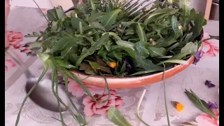 Les salades sauvages suite    Comment les préparer