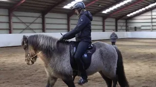 Riding lesson: How to work on shifting the horse's weight/ balance from front to back