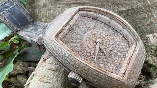 Restoration  Franck Muller V32 Full Diamond watch buried after many years