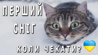 Перший Сніг? Вже відомо коли чекати! Прогноз погоди