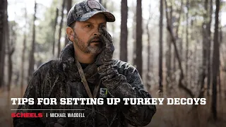 Tips to Setup Your Turkey Decoys - Michael Waddell | SCHEELS