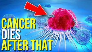 CANCER is Afraid of These Products! TOP 15 cancer-destroying products