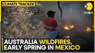 Wildfires rage across Australia | Jacarandas bloom early in Mexico | WION Climate Tracker