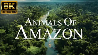 Amazon Animals In 8K ULTRA HD | | Amazon Rainforest