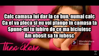 Theo Rose - Camasa  Lyrics Versuri