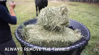 Hay Chix Net + Hay Basket