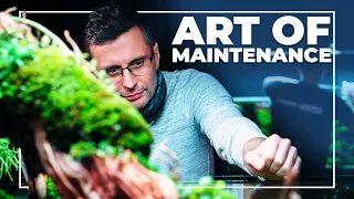 The ART of Aquarium MAINTENANCE | Hiten Goolab Workshop Planted Tank Trimming