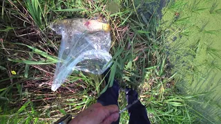 Охота с Рогаткой на рисовых ячейках SLINGSHOT FISHING