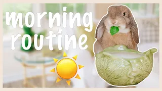Bunny Morning Routine