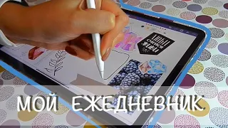 ЕЖЕДНЕВНИК на iPad 🖍 | BULLET JOURNAL | digital planner | как я веду ежедневник