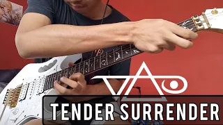 Steve Vai - Tender Surrender - Cover By Ryan The Guitarist