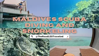 Movenpick Maldives Honeymoon Pt. 3: Scuba Diving and Snorkeling