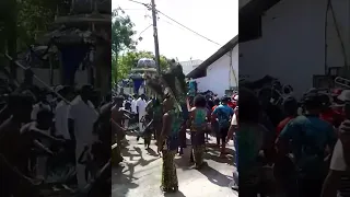 Ambalangoda kawadi 2023 Damma band 🎺🦚🔥ambalangoda perahara 2023