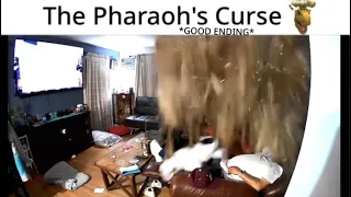 The Pharaoh’s Curse *Good Ending*