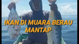 Mancing Di Muara Berau Ikannya Banyak Banget