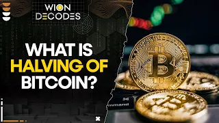 Bitcoin is at record high, but will halving halt the wild run | WION Decodes