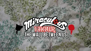 1 HOUR Miraculous Ladybug 🐞- The Wall Bewteen Us KALIMBA