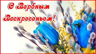 С Вербным Воскресеньем 🌸красивое музыкальное видео поздравление открытка!С Вербным Воскресеньем 2024