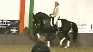 Anky van Grunsven / Sjef Janssen training Salinero