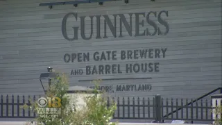 Only Guinness Brewery In U.S. To Open In Baltimore County Friday